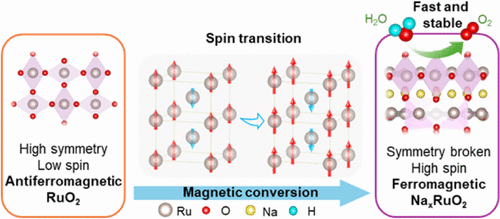 Ferromagnetic Surface Segregation via Stress-Concentration Coupling Boosts the Oxygen Evolution Reaction in RuO2