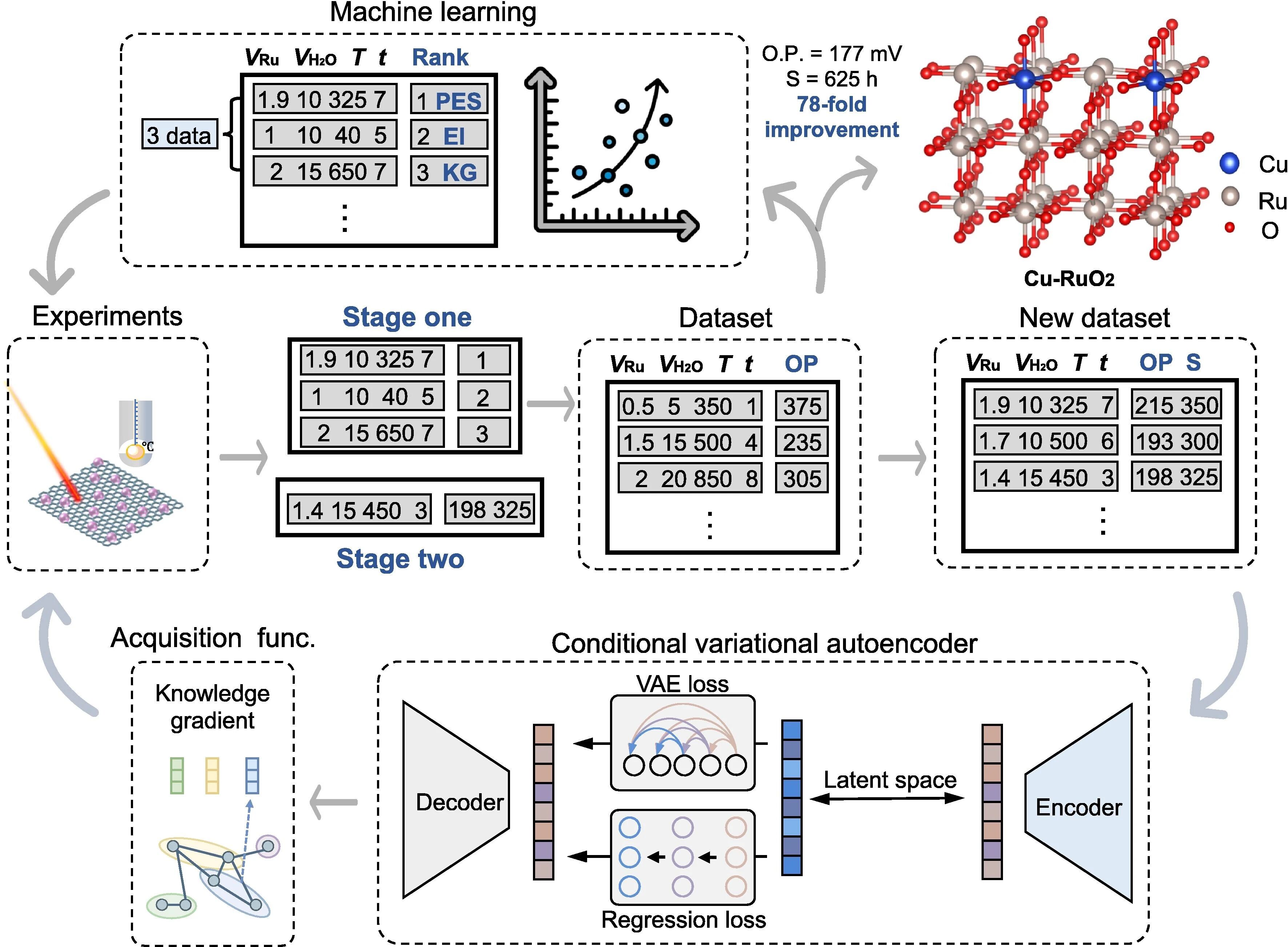 Spatial-adaptive active learning identifies ultra-durable and highly active catalysts for acidic oxygen evolution reaction